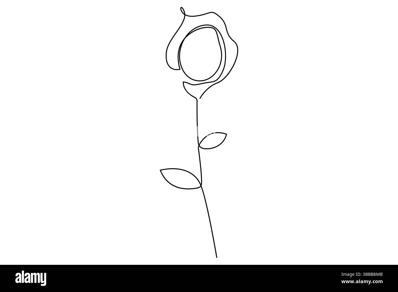 Fleur de rose continue dessin d'une ligne de fleur de rose isolé illustration vectorielle de contour design minimaliste Illustration de Vecteur