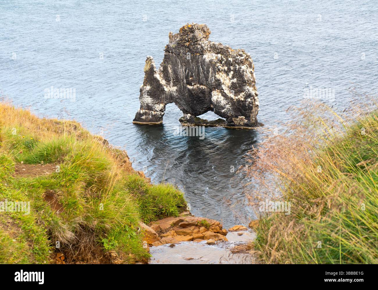 Pile de basaltes Hvitserkur en Islande, rocher spectaculaire dans la mer avec la forme d'un dragon ou d'un dinosaure qui boit. Banque D'Images