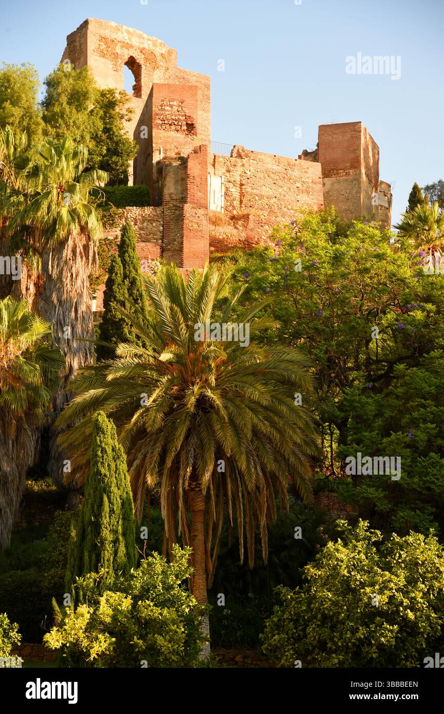 Malaga, mur de forteresse Alcazaba, Andalousie, Espagne. Banque D'Images