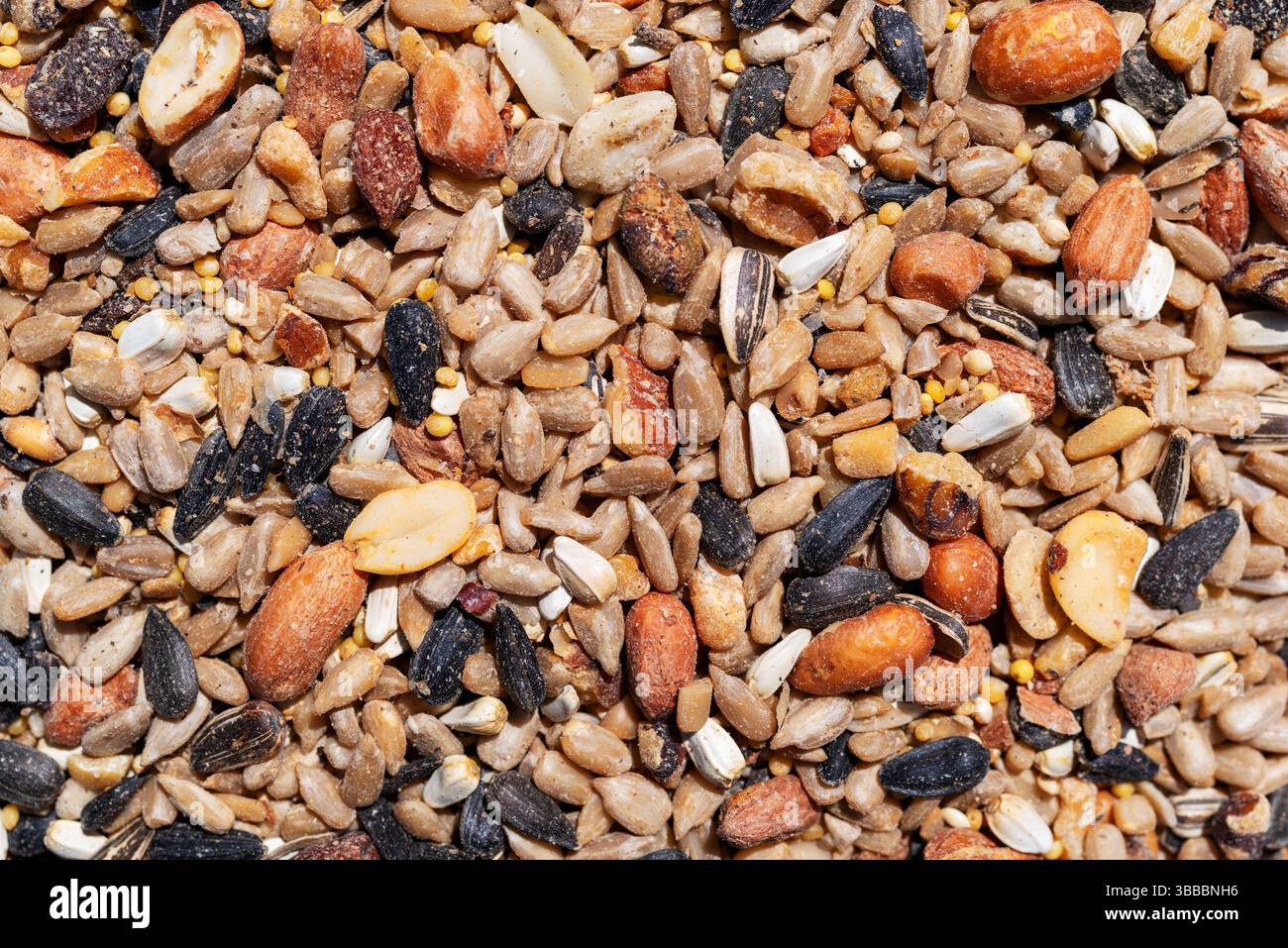 Vue rapprochée de la nourriture pour oiseaux sauvages avec des graines de maïs et de tournesol craquelées. Banque D'Images