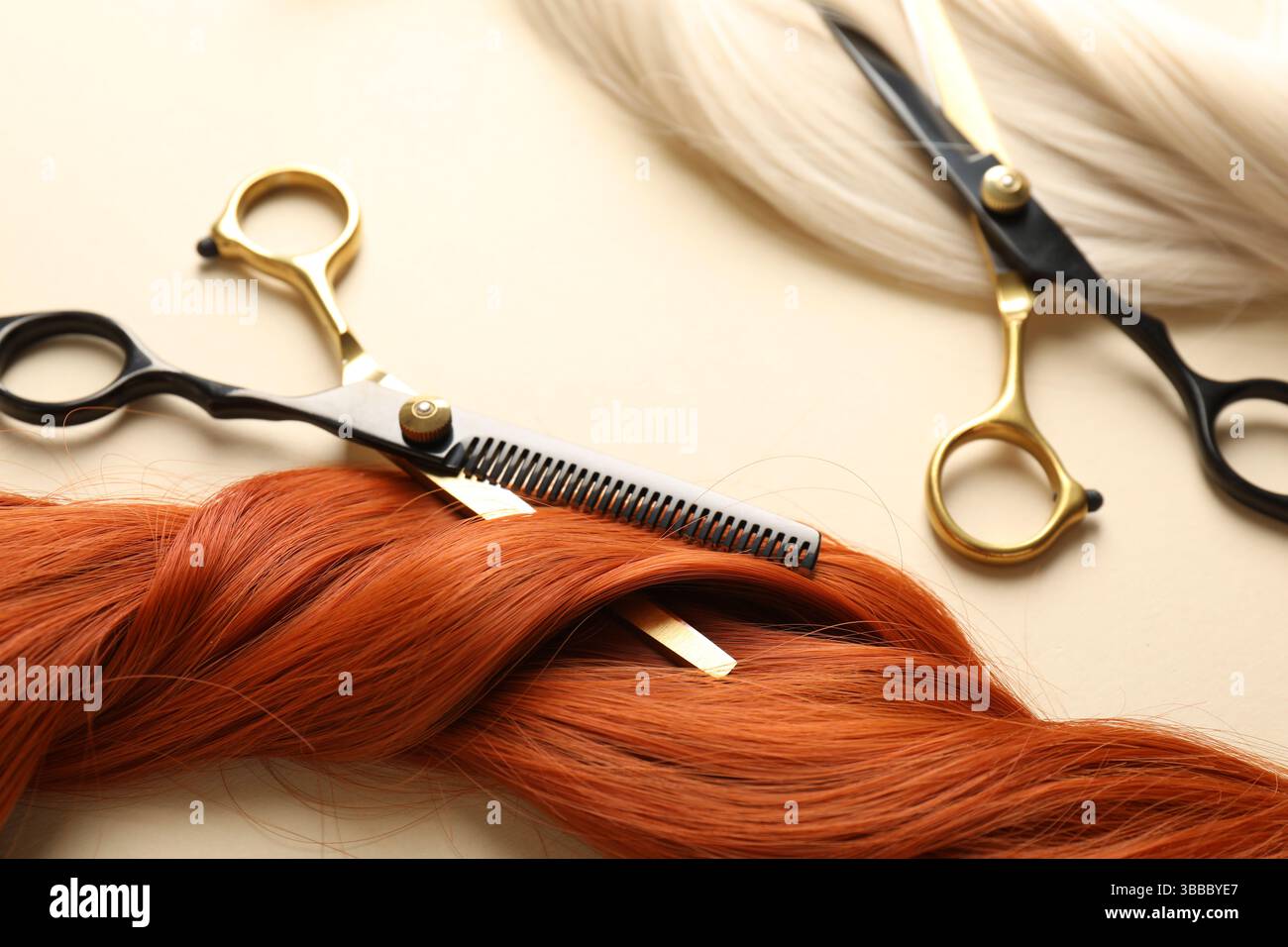 Mèches de cheveux et ciseaux sur fond beige, gros plan Banque D'Images