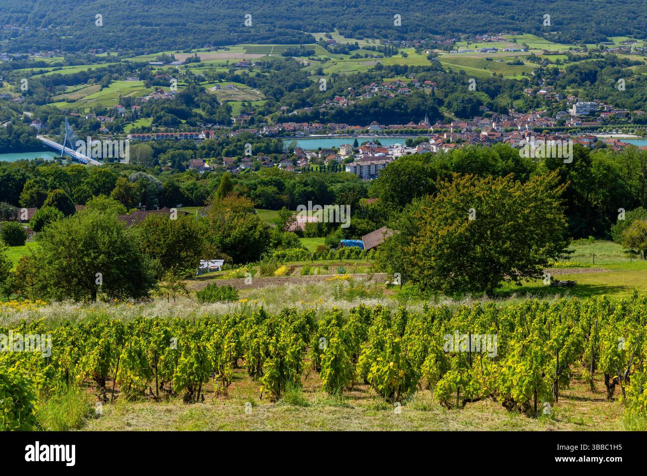 Paysage pittoresque à Seyssel, en France, avec des vignobles, le Rhône, un pont à haubans moderne et des collines ondulantes Banque D'Images