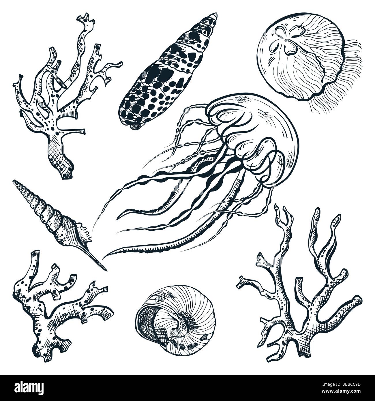 Illustration vectorielle dessinée à la main de méduses, coquillages et coraux. Icônes de vie marine et éléments de conception. Collection sous-marine de la mer tropicale i Illustration de Vecteur