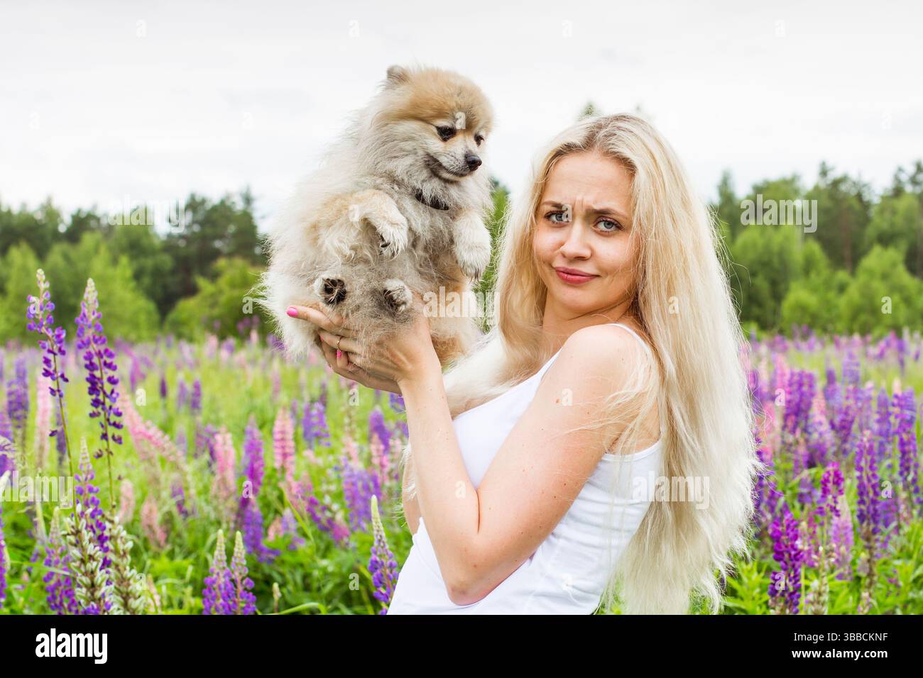 moscou, russie, 13.07.2017 Une femme tient un petit chien dans un champ de fleurs violettes. La scène est paisible et sereine, avec la femme et son chien e Banque D'Images