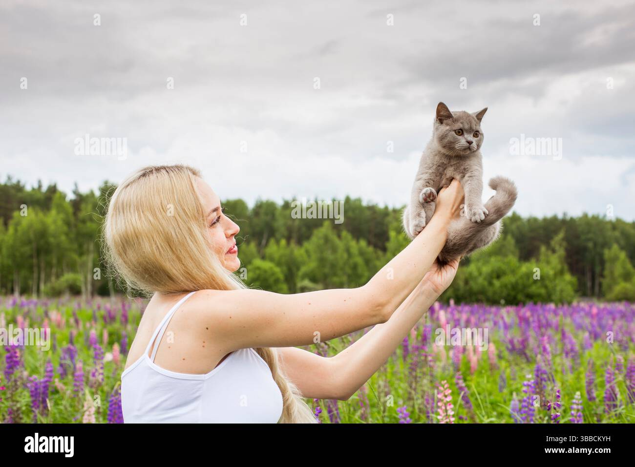 moscou, russie, 13.07.2017 Une femme tient un chat dans un champ de fleurs violettes. La scène est calme et tranquille, avec la femme et le chat appréciant Banque D'Images