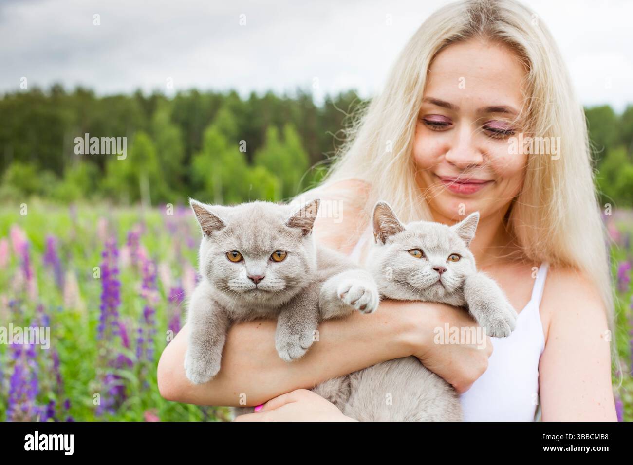 moscou, russie, 13.07.2017 Une femme tient deux chats dans ses bras. Les chats sont gris et blancs. La femme sourit et elle est heureuse Banque D'Images
