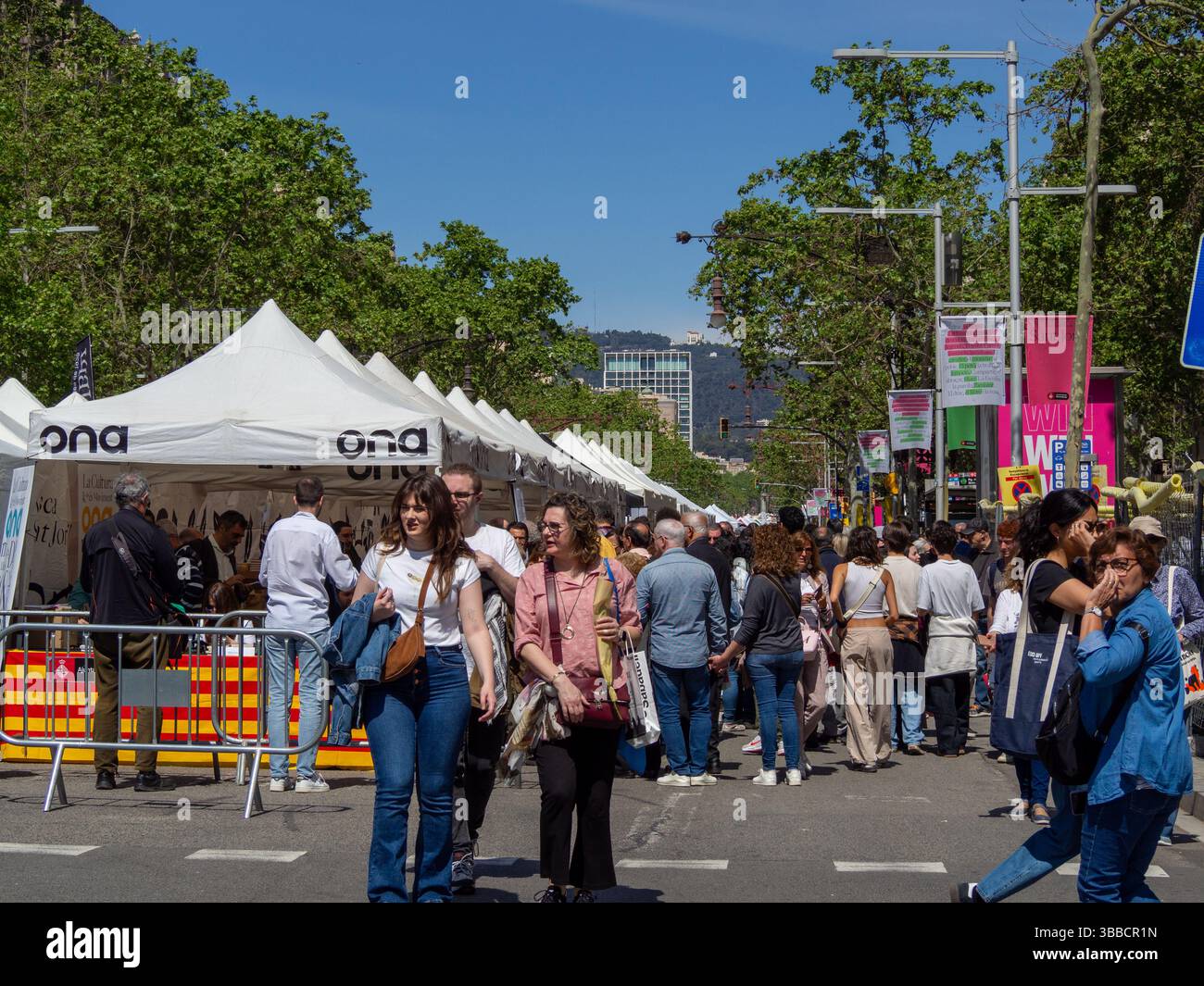 Festival Sant Jordi, 23 avril 2025 à Barcelone, Espagne. Banque D'Images