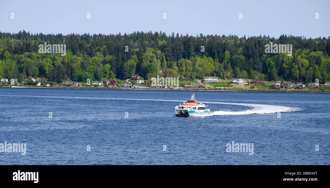 Bremerton, WA, États-Unis - 23 avril 2025 ; Kitsap Fast Ferry Reliance à Sinclair Inlet faisant un grand virage dans l'eau Banque D'Images
