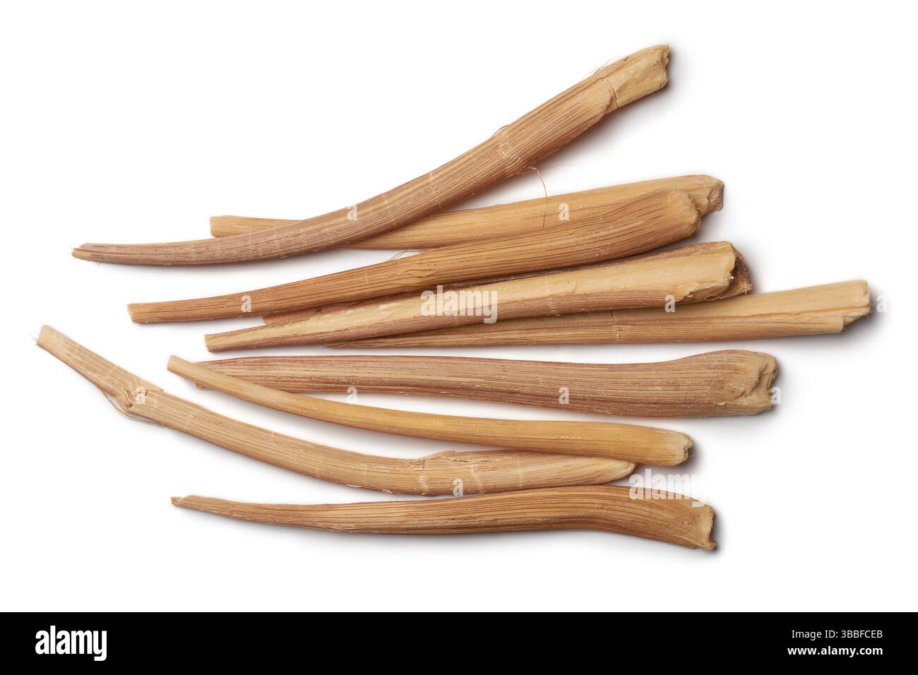 pousses de palmiers éparpillées en odiyal ou palmyre, fond blanc isolé, jeunes pousses de palmire, collation traditionnelle sri-lankaise trouvée en sec Banque D'Images