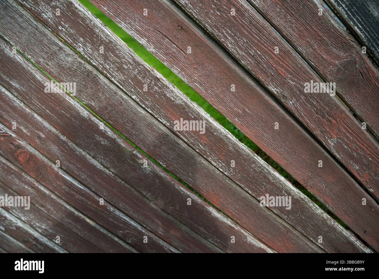Vue à travers la clôture en bois à l'herbe verte sur la cour. Banque D'Images Vue à travers la clôture en bois à l'herbe verte sur la cour. Banque D'Images