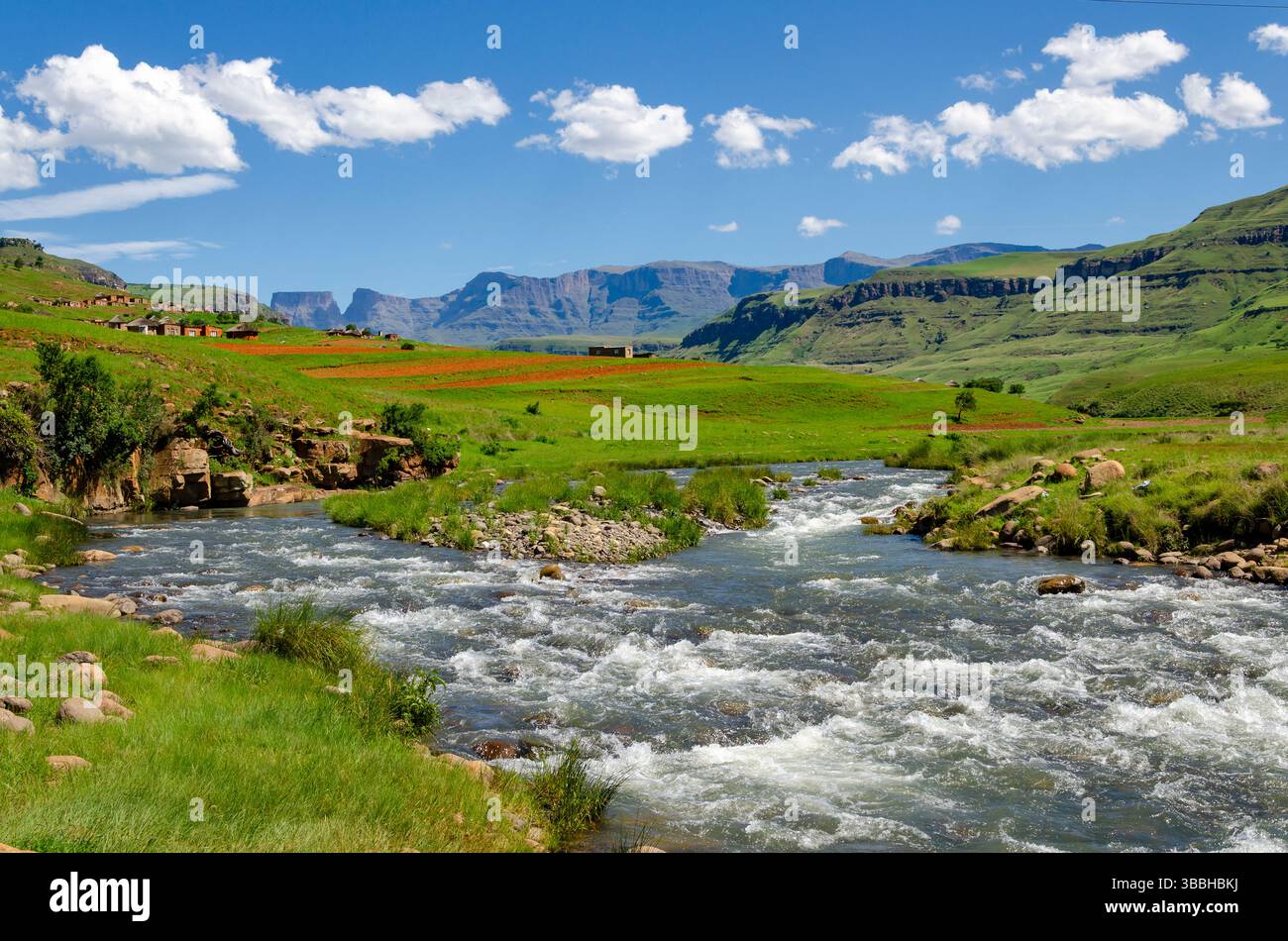 La rivière Mhlwazini coule du magnifique parc Ukhahlamba Drakensberg près de Cathedral Peak, KwaZulu Natal, Afrique du Sud. Idéal pour la nature, paysage, tra Banque D'Images