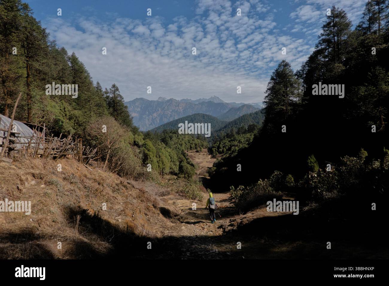 Direction l'Himalaya de Helambu à Langtang, Langtang National Park, Mangengoth, Népal Banque D'Images