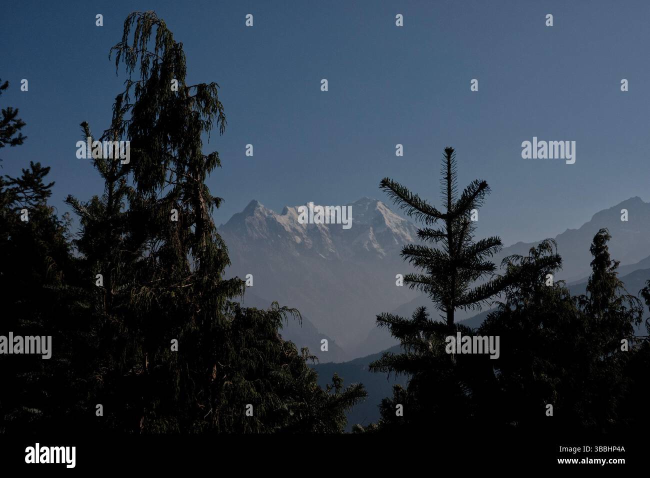 Vue de Langtang Lirung à travers les arbres, parc national de Langtang, Népal Banque D'Images