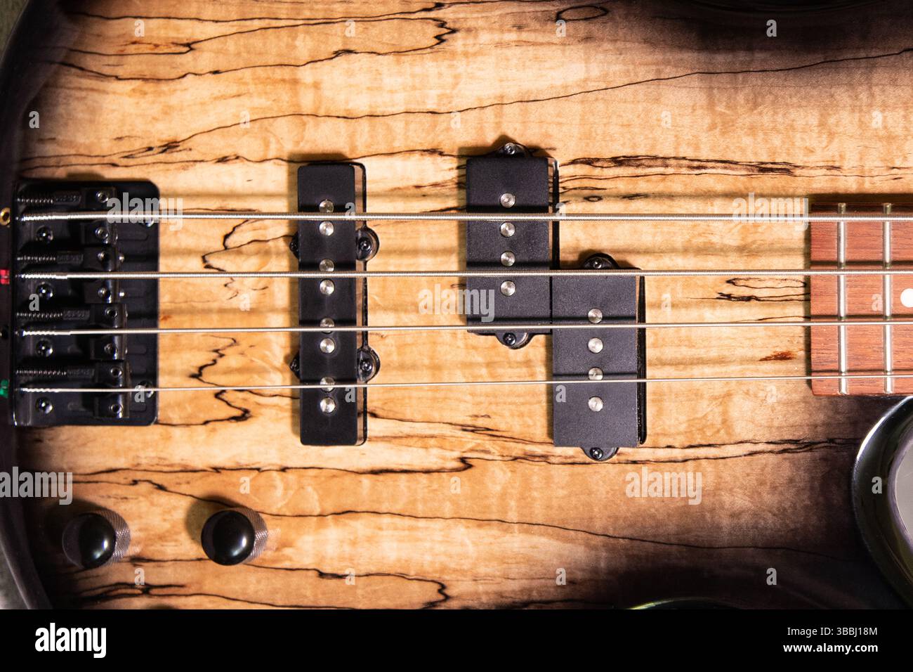 Gros plan du corps d'une guitare basse montrant à la fois des micros de type J et P, un bridge, des cordes, une partie du cou et un corps en bois. Banque D'Images