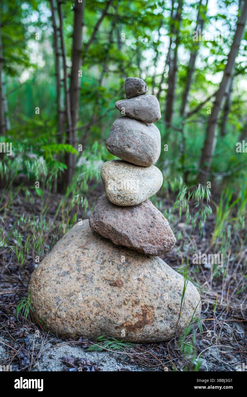 Cairns érigé à la lisière de la forêt Banque D'Images