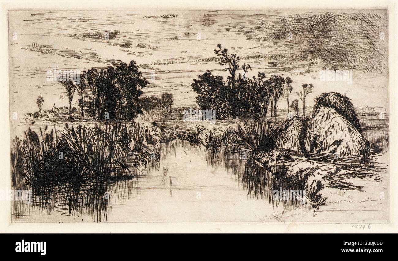 Mary Nimmo Moran, Cattails and Trees, gravure paysagère, 1880-1890 Banque D'Images