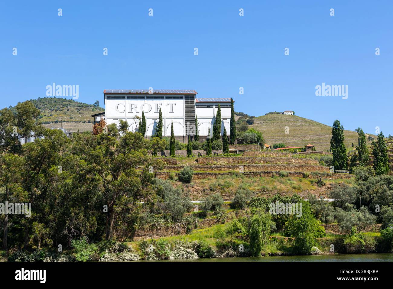 Quinta do Roeda, vignobles Croft, près de Pinhão, vallée du fleuve Douro, Alto Douro, Portugal, Europe Banque D'Images