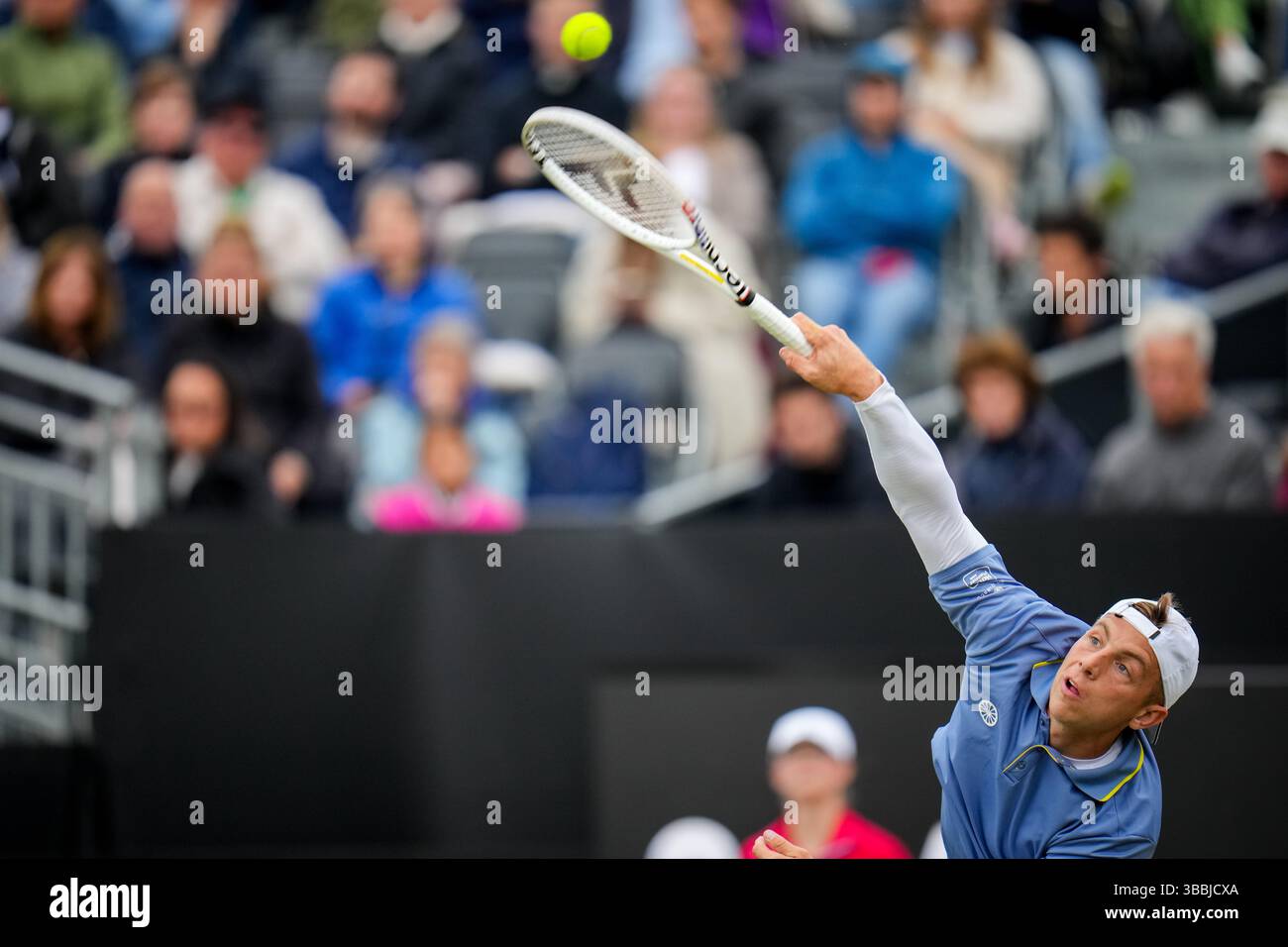 'S-HERTOGENBOSCH, PAYS-BAS - 14 JUIN : Tallon Griekspoor, des pays-Bas, participe à son quart de finale masculin contre Aleksandar Vukic, d'Australie, le jour 5 des Championnats Libema Open Grass court à l'Autotron le 14 juin 2024 à 's-Hertogenbosch, pays-Bas (photo de Rene Nijhuis/BSR Agency) Banque D'Images
