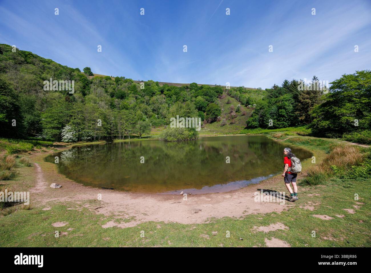 La réserve naturelle de Punchbowl, Coed Cadw, Blorenge près d'Abergavenny, pays de Galles, Royaume-Uni Banque D'Images