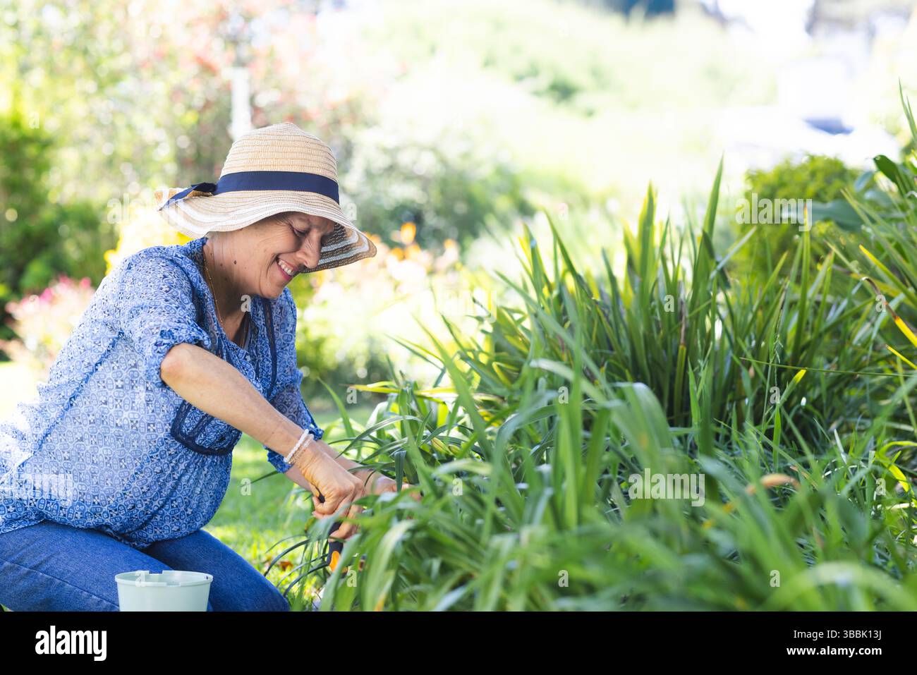 Femme senior agenouillée dans le jardin arrière de plantes de coupe avec des ciseaux d'élagage près du seau vert Banque D'Images
