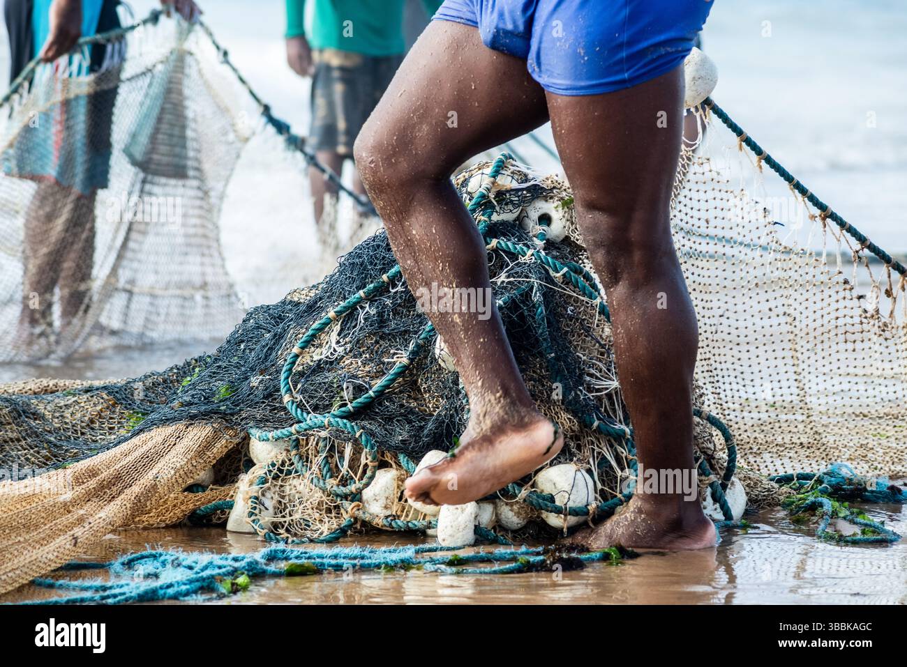 Un demi-corps de pêcheurs non identifiés ramassant le filet de pêche après avoir capturé du poisson. Fruits de mer, pêche comme passe-temps. Brésil Banque D'Images