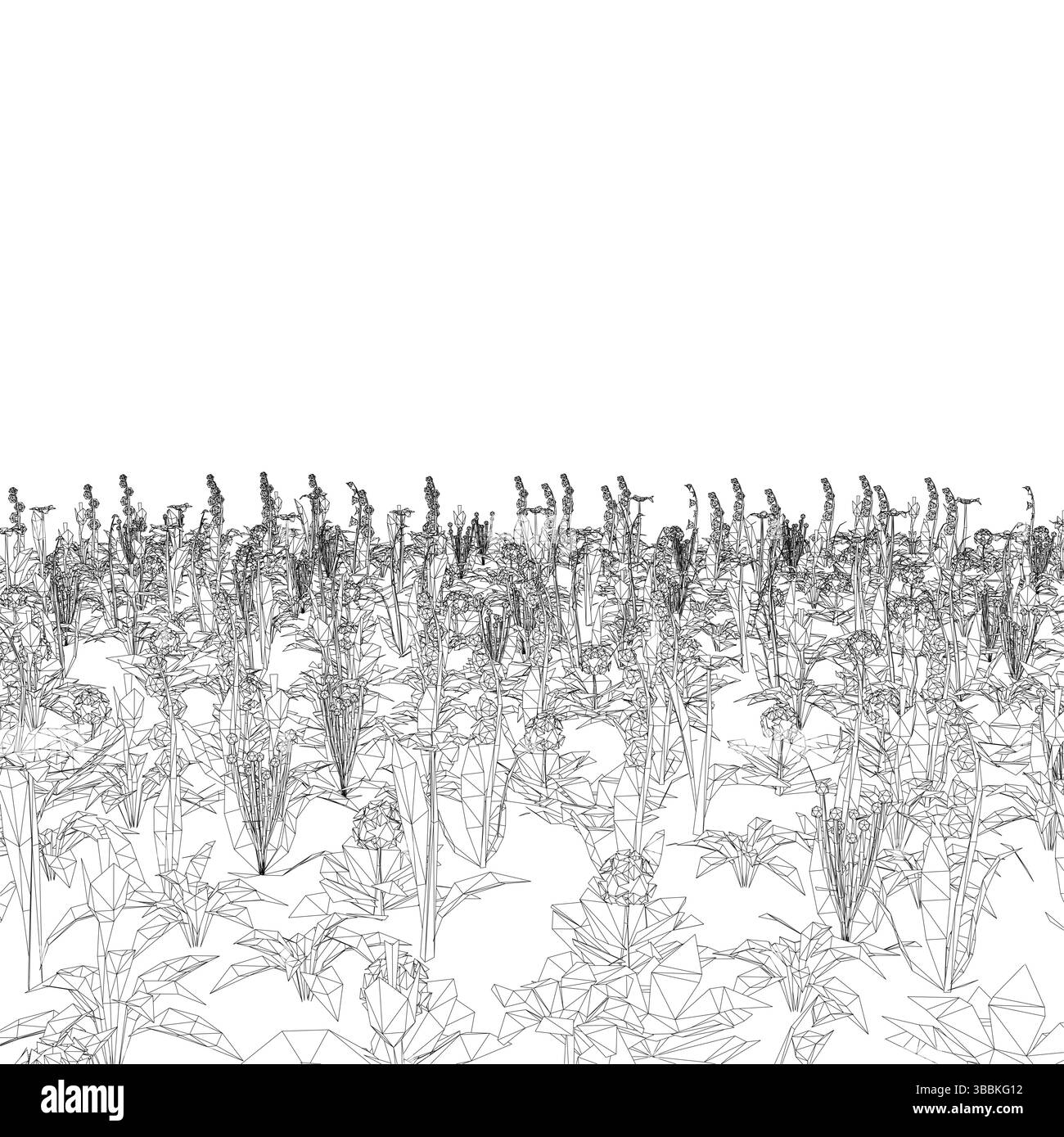 Un champ de hautes herbes avec quelques fleurs dispersées partout. L'image est en noir et blanc et a une humeur un peu sombre Illustration de Vecteur