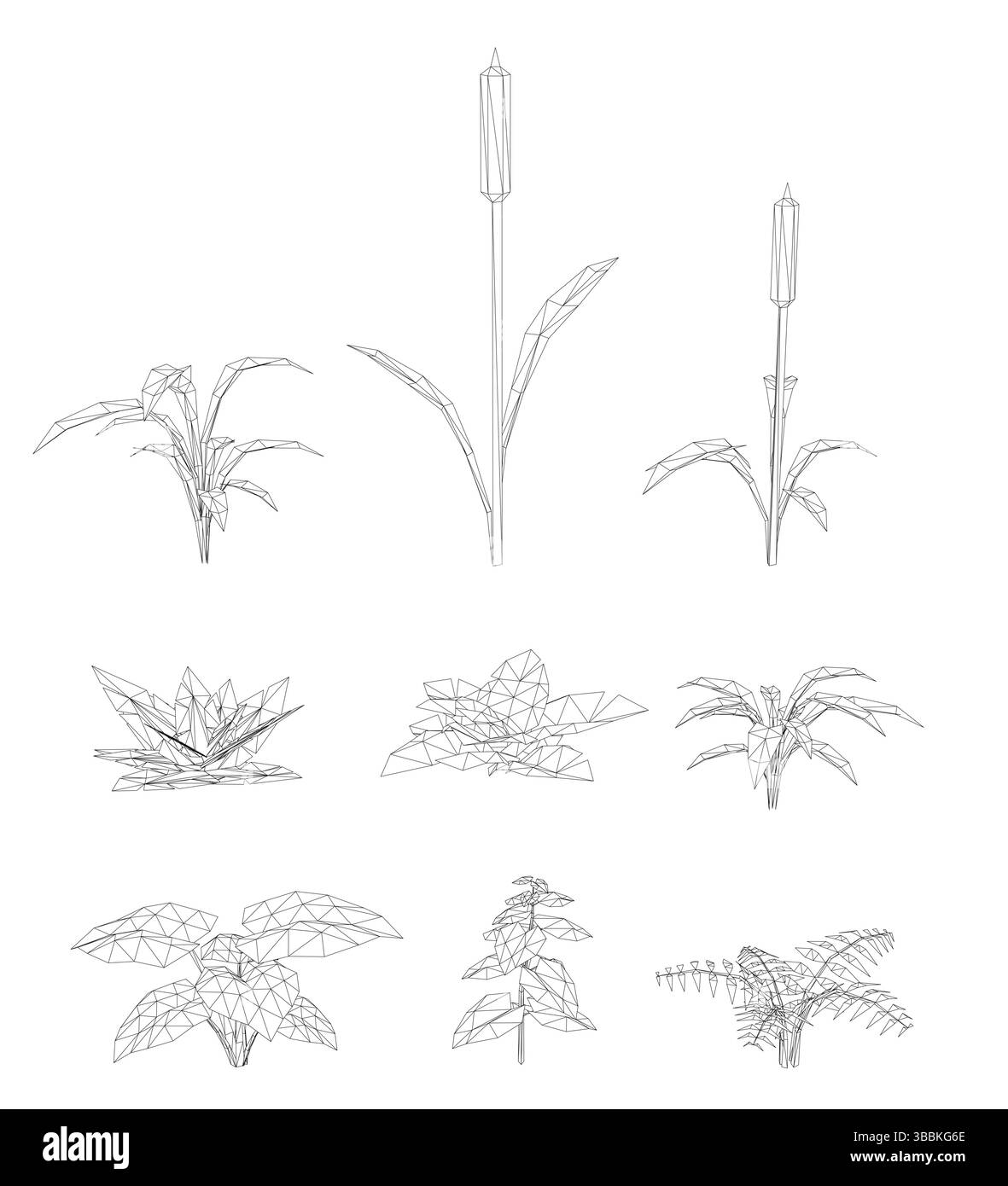 Une série de dessins de plantes à différents stades de croissance. Les dessins sont tous en noir et blanc et sont de tailles différentes Illustration de Vecteur