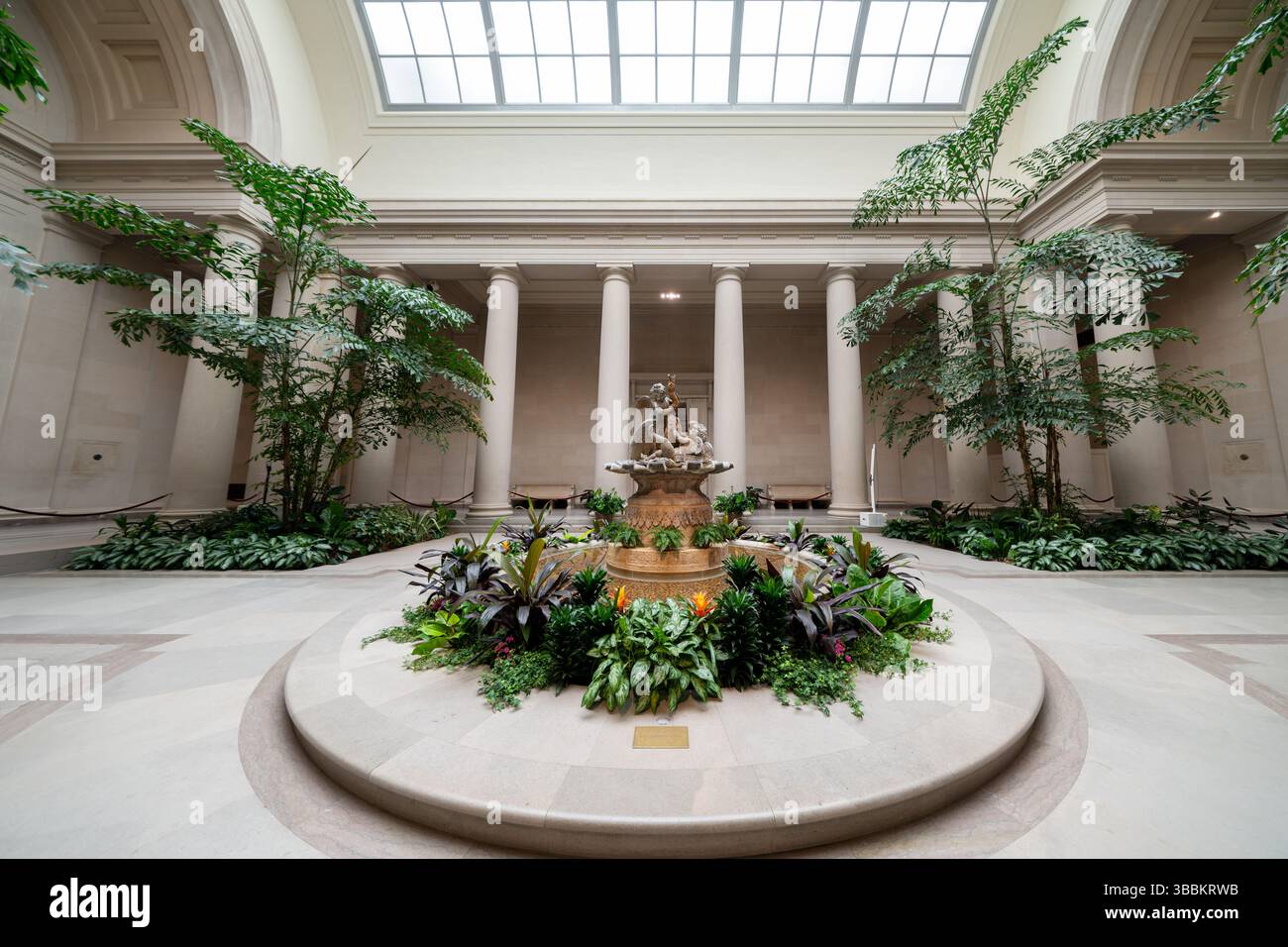 WASHINGTON DC — le West Garden court de la National Gallery of Art offre un espace de jardin intérieur tranquille dans le bâtiment néoclassique de l'Ouest conçu par l'architecte John Russell Pope. Cette élégante cour en marbre dispose d'une fontaine centrale entourée de plantes tropicales, reflétant la tradition des jardins de la Renaissance italienne. Avec une lumière naturelle abondante qui traverse les puits de lumière au-dessus, des bancs de marbre confortables et un aménagement paysager soigneusement organisé, le Garden court offre aux visiteurs du musée un cadre paisible pour contempler et se reposer entre regarder la vaste collection d'art de la galerie Banque D'Images