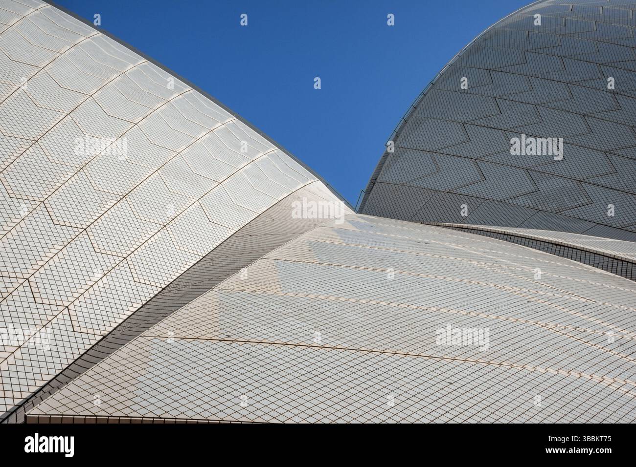Vue détaillée du toit en tuiles de l'Opéra de Sydney Banque D'Images