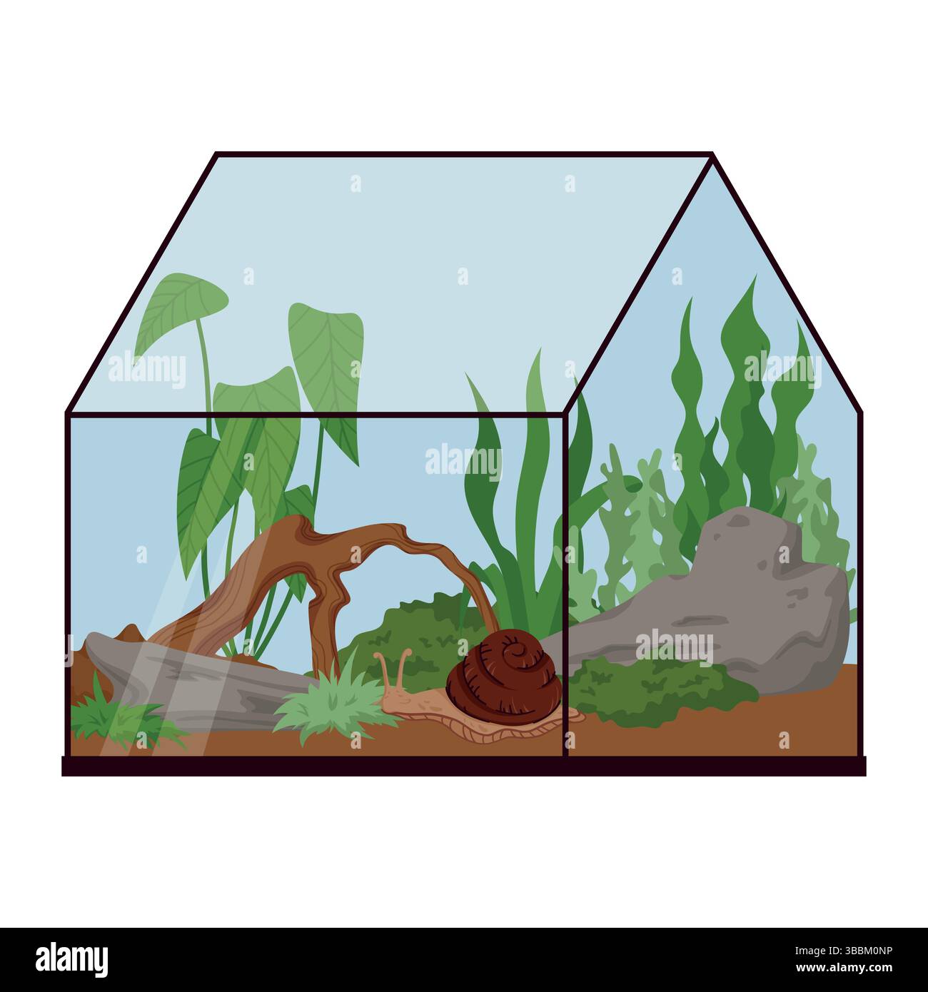 Terrarium pour escargot avec roches, bois, plantes et sol isolé sur blanc. Achatina Aquarium Habitat Setup pour les soins exotiques des animaux de compagnie Illustration de Vecteur