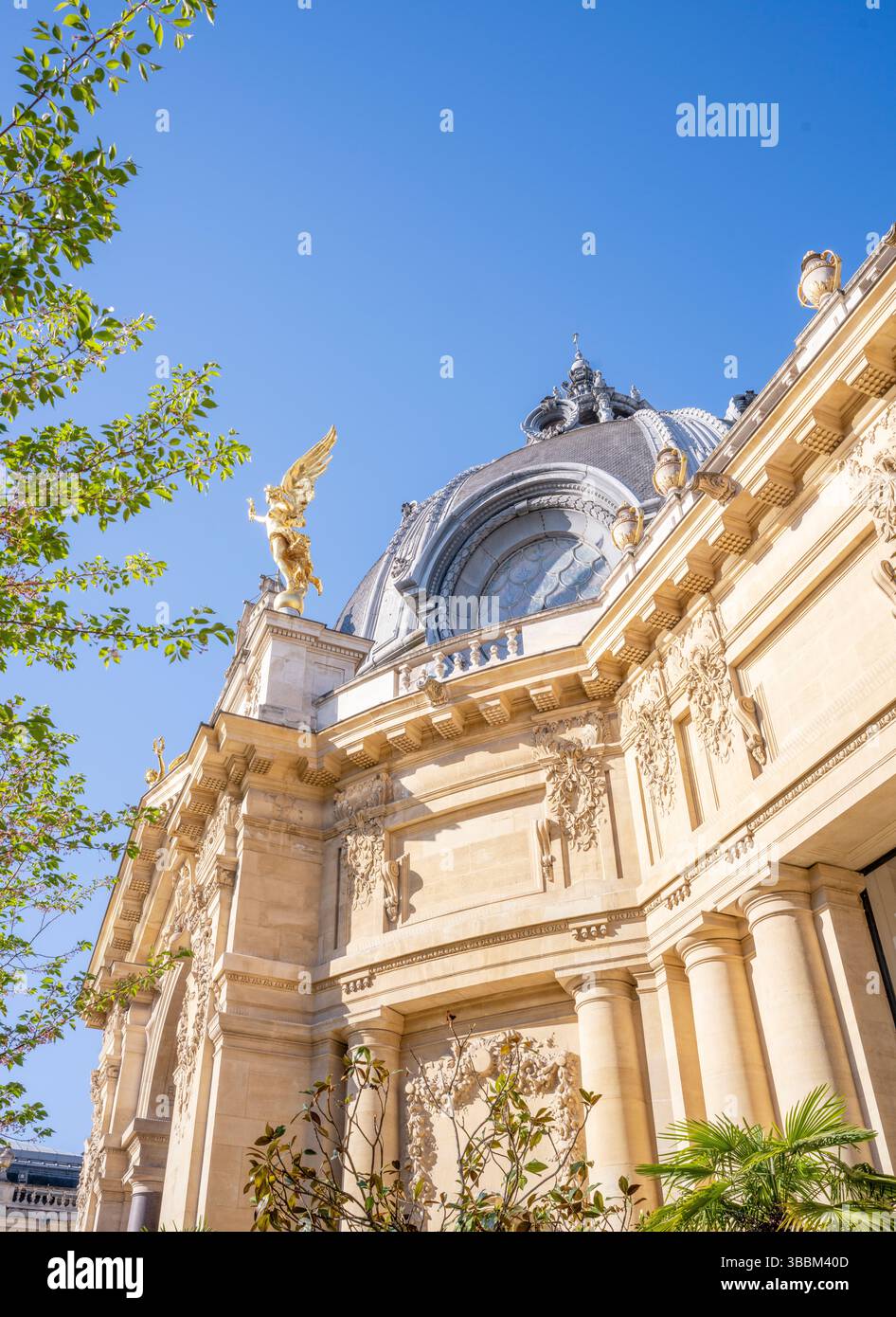 Musée du petit Palais Paris, France, Europe Banque D'Images