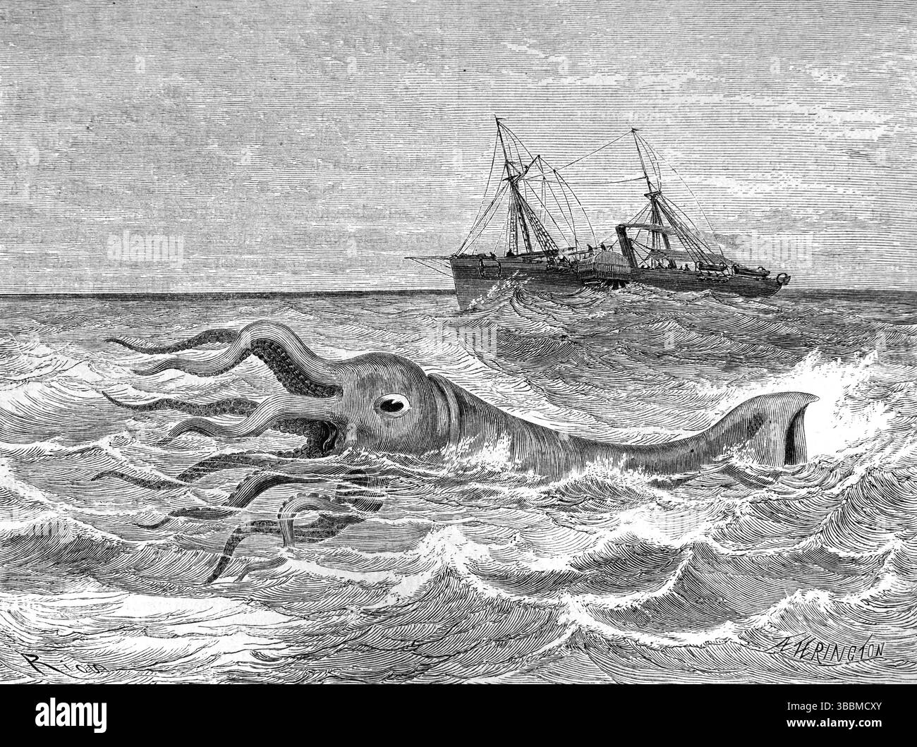 Calmar géant ou pieuvre nageant à la surface de l'océan. Gravure vintage ou historique ou illustration 1866 Banque D'Images