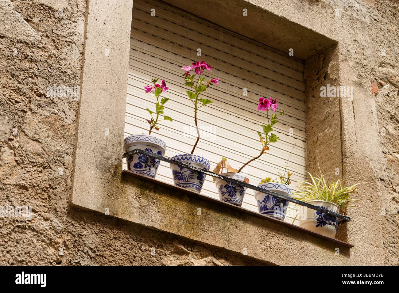 5 pots de plantes poussant sur un rebord de fenêtre en Espagne. Un petit rebord avec des fleurs en pots. Banque D'Images