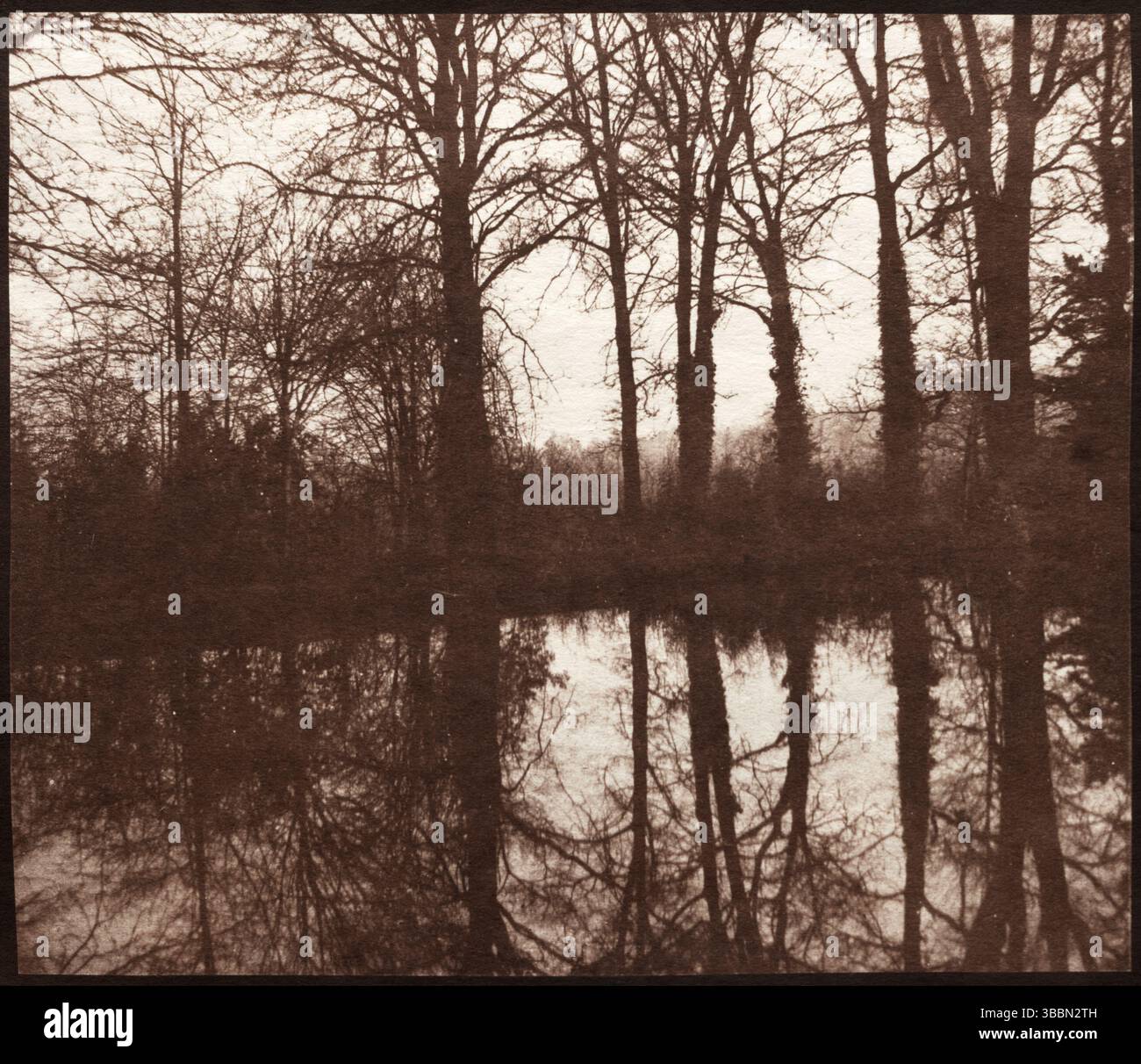 Arbres d'hiver reflétés dans un étang. William Henry Fox Talbot. 1841-42. Impression sur papier salé à partir de négatif calotype. Banque D'Images