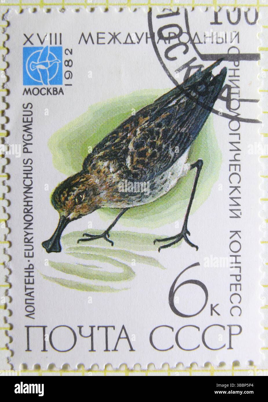 ISTANBUL, TURQUIE - 03 JANVIER 2021 : timbre de l'Union soviétique montrant le 18ème Congrès ornithologique, Moscou, Eurynorhynchus vers 1982 Banque D'Images