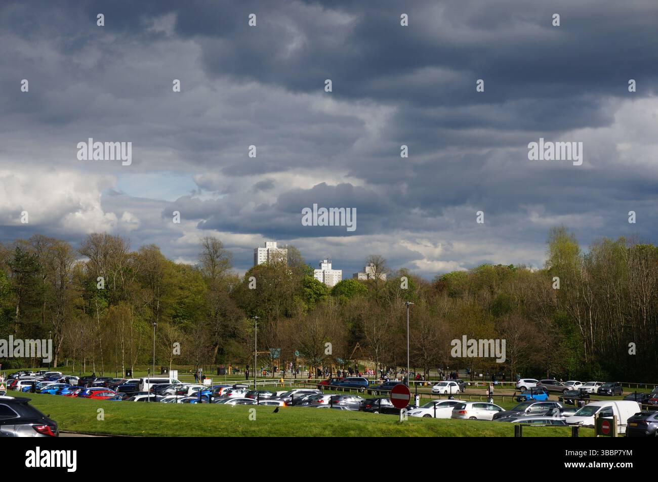 Vue des Tower Blocks partiellement couverts par des arbres dans le Pollok Country Park à Glasgow, en Écosse Banque D'Images