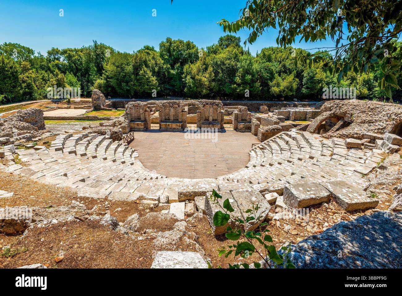 Ruines de théâtre romain antique dans le parc national de Butrint, Albanie, avec des sièges en pierre étagés et une scène en bois au milieu de la forêt méditerranéenne verdoyante Banque D'Images