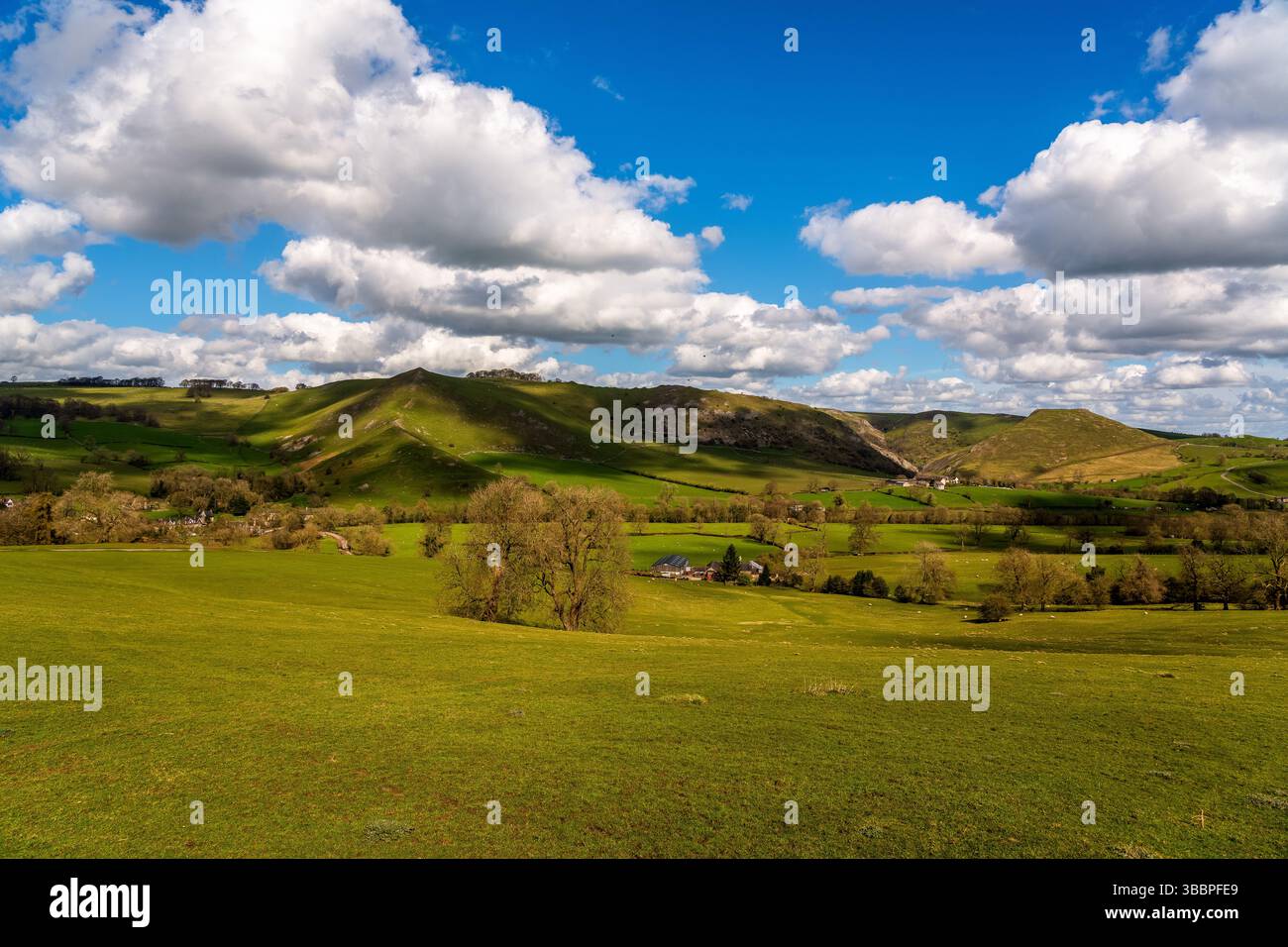Pâturage d'Ilam parsemé de moutons se déroulant sous des collines de calcaire ondulantes et une tapisserie de cumulus dérivants sous un ciel éclatant de Peak District Banque D'Images