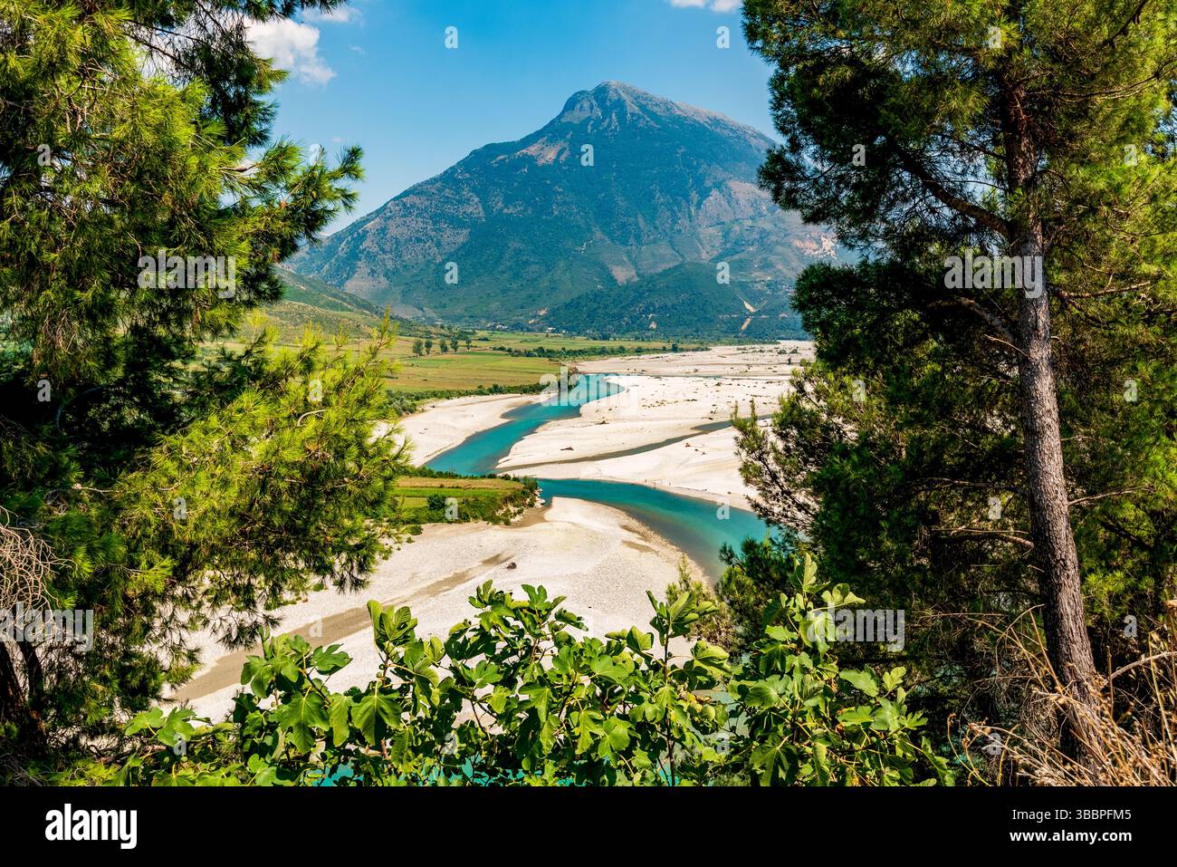 Le ruban émeraude de la rivière Vjosa serpente à travers des galets ensoleillés et des collines calcaires encadrées de pins sous un ciel albanais céruléen Banque D'Images