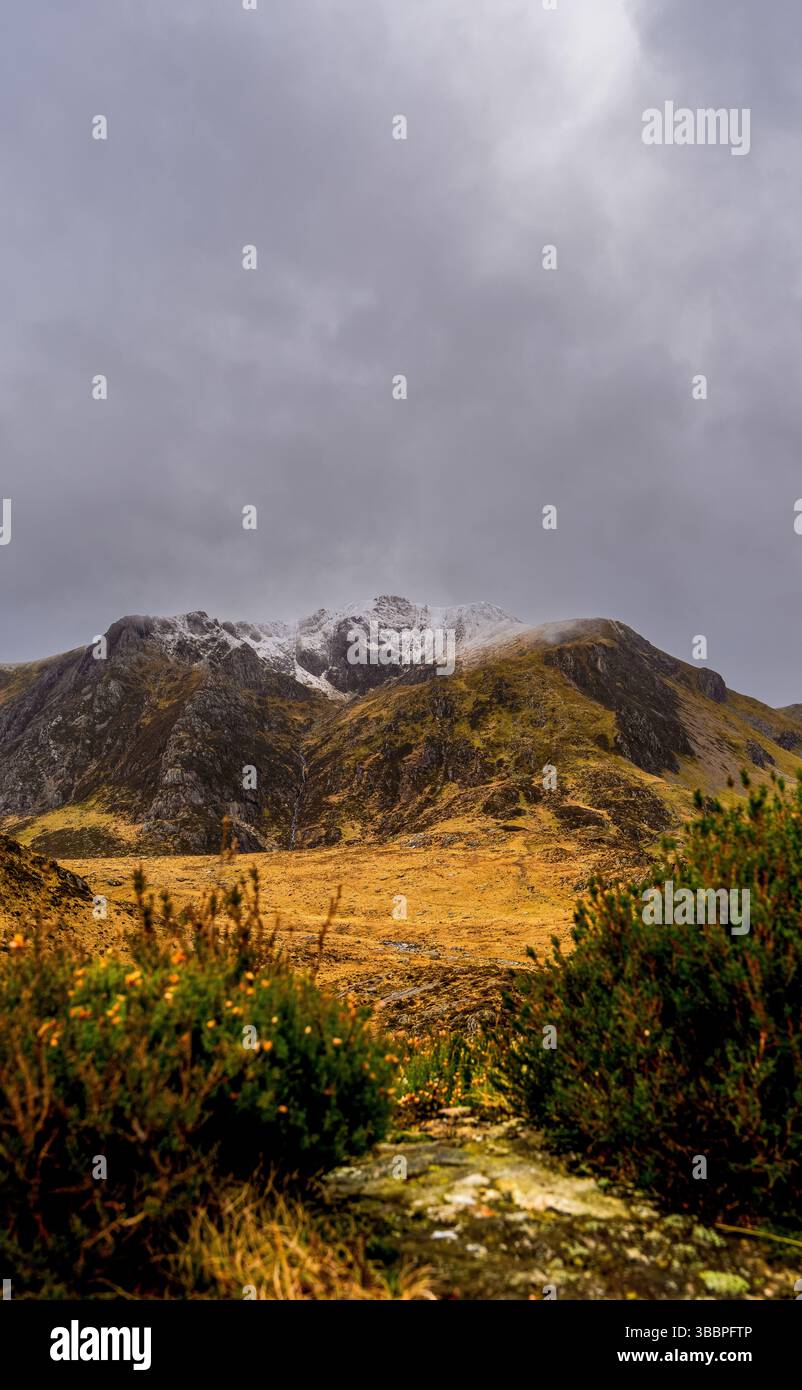 Crête de Glyderau enneigée s'élevant au-dessus d'un bassin corrie recouvert de bruyères et de rochers cicatrisés sous un ciel gallois couvant Banque D'Images