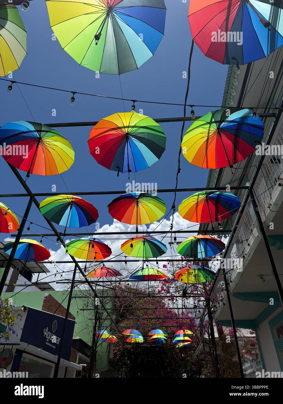 Les parapluies colorés créent un auvent joyeux contre un ciel bleu vif dans une installation urbaine vibrante de Street art - Image de stock capturée avec un smartphone