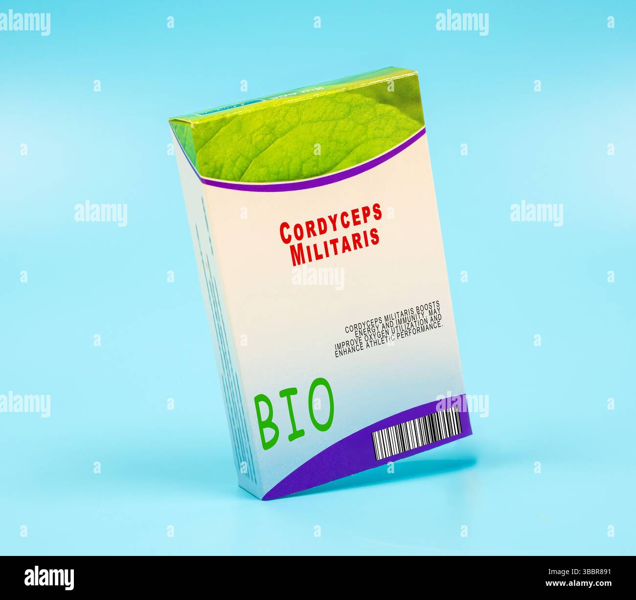 Cordyceps militaris. Stimule l'énergie et l'immunité. Peut améliorer l'utilisation de l'oxygène et améliorer les performances athlétiques. Banque D'Images