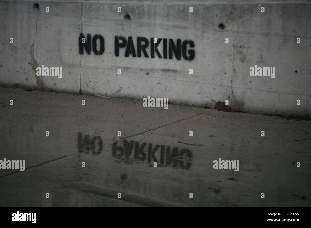 Pochoir urbain « No parking » peint au pistolet sur un mur de béton avec un reflet de mauvaise humeur dans le trottoir humide lors d'un jour de pluie en ville. Banque D'Images