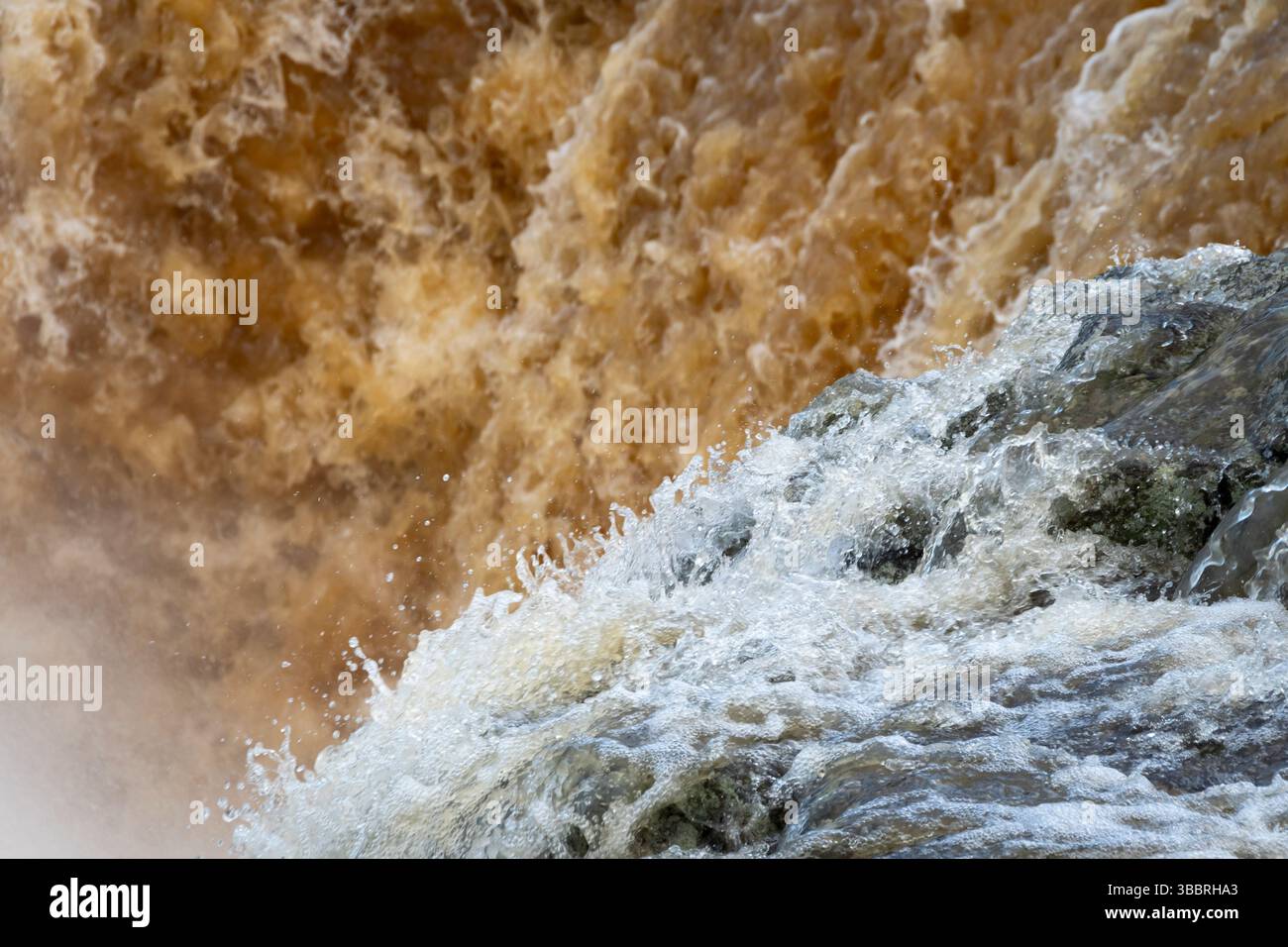 Haruru Falls après une tempête de pluie, Waitangi River, Bay of Islands, Northland, North Island, nouvelle-Zélande Banque D'Images