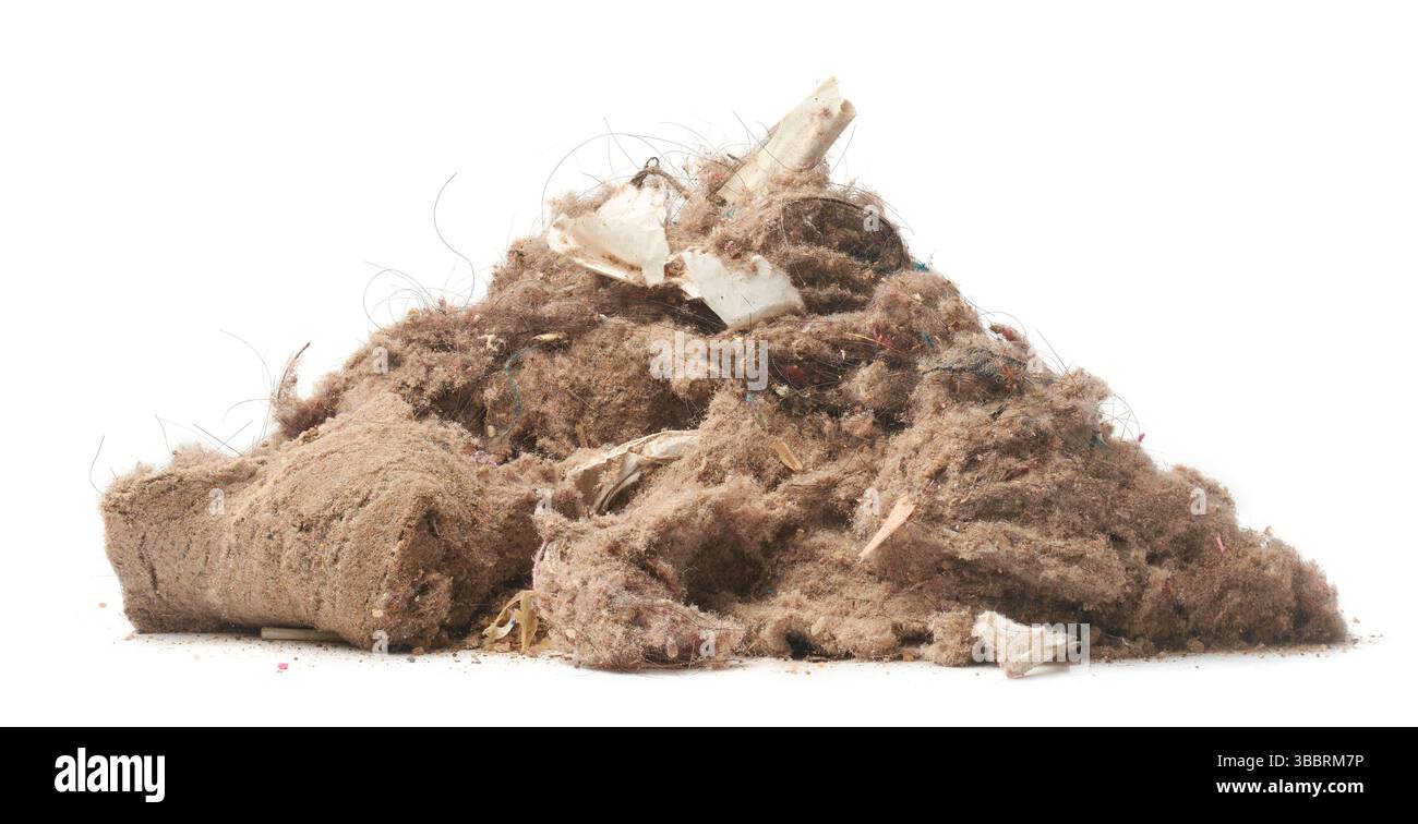 pile de poussière et de débris collectés par l'aspirateur fond blanc isolé, fibres fines de cheveux de poussière brun clair et d'autres particules, accumulées Banque D'Images