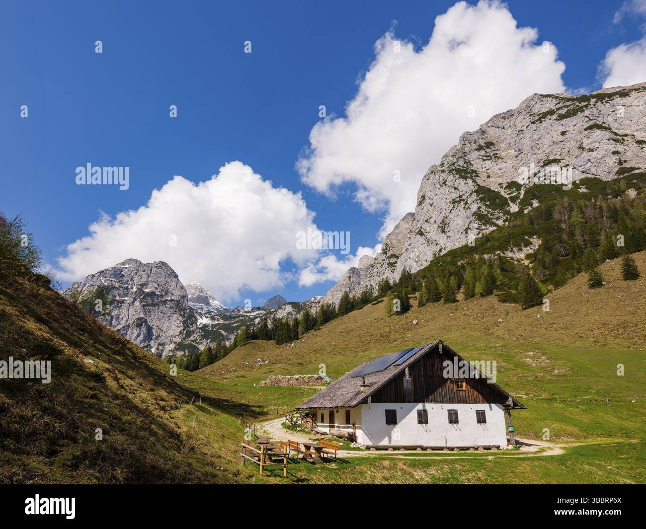 Halsalm, au-dessus de la Reiteralpe, Ramsau BEI Berchtesgaden, Berchtesgadener Land, haute-Bavière, Bavière, Allemagne, Europe Banque D'Images