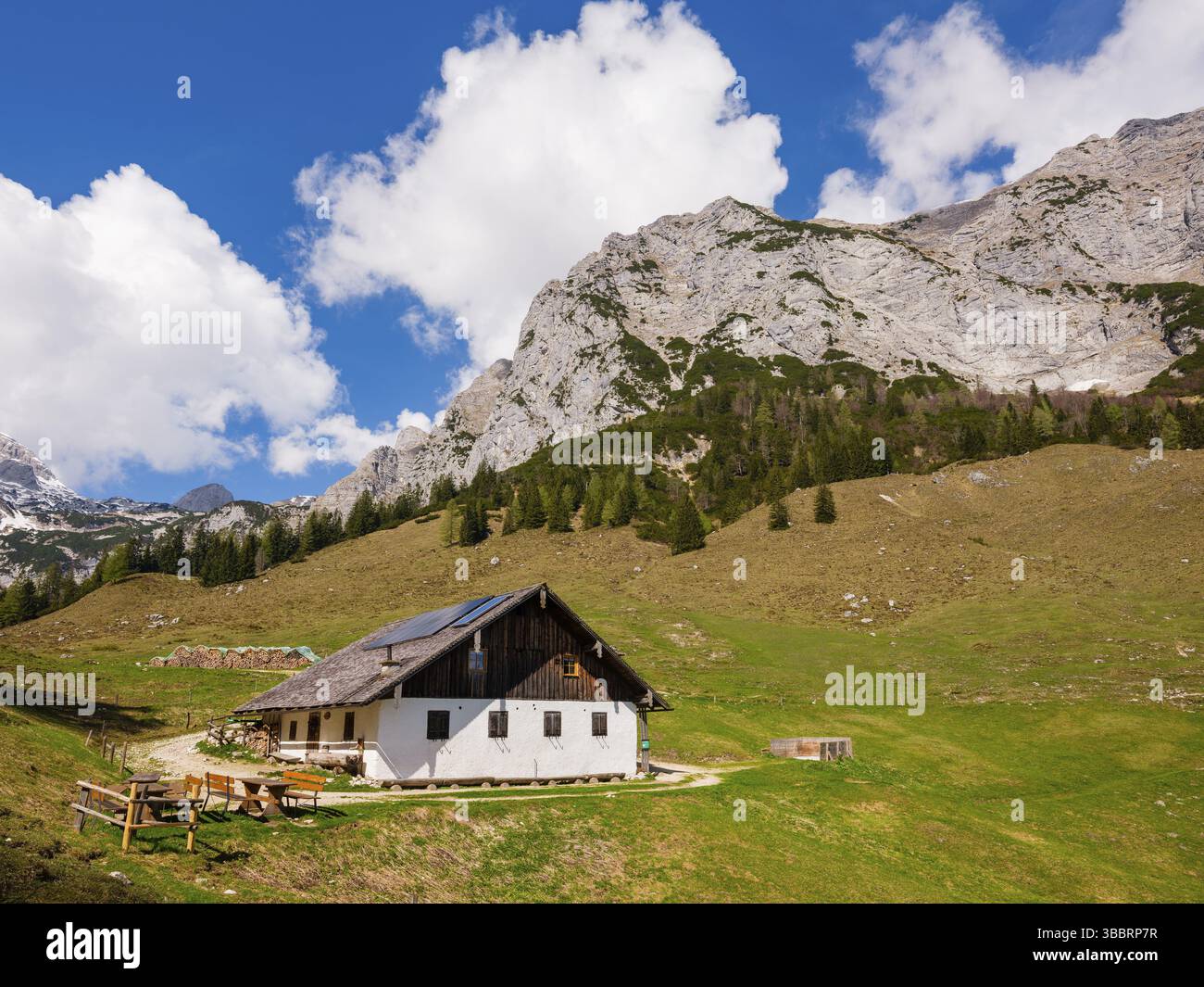 Halsalm, au-dessus de la Reiteralpe, Ramsau BEI Berchtesgaden, Berchtesgadener Land, haute-Bavière, Bavière, Allemagne, Europe Banque D'Images