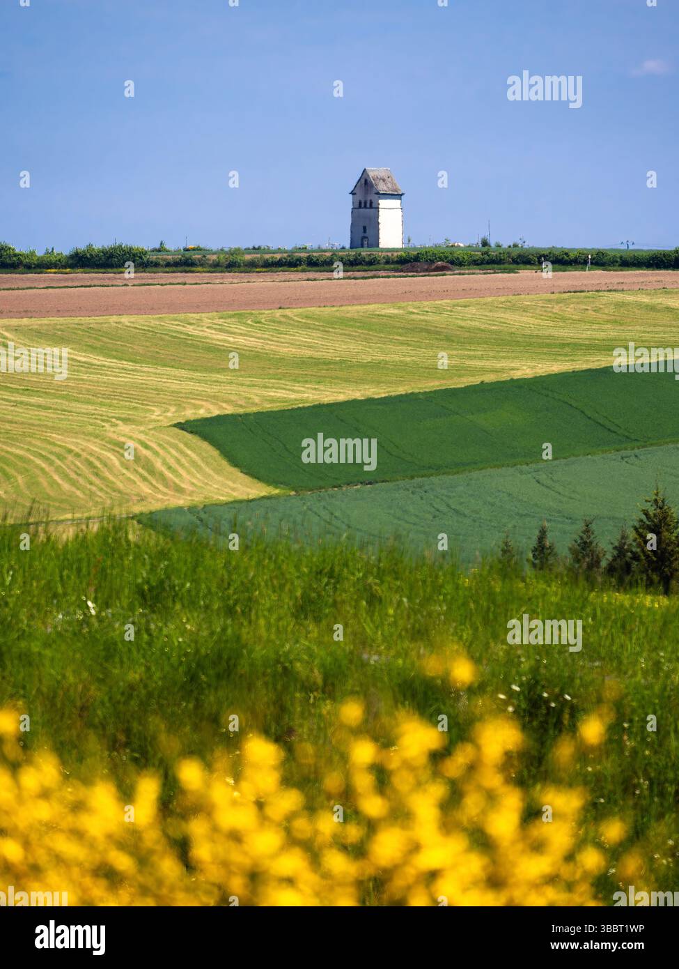 Un paysage pittoresque avec des champs verdoyants et une tour blanche lointaine. Le premier plan est orné de fleurs jaunes vibrantes, tandis que le bac Banque D'Images