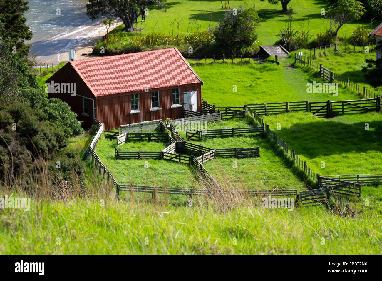 Hangar de tonte et parcs à bestiaux, baie d'Otehei, île d'Urupukapuka, baie des îles, île du Nord, nouvelle-Zélande Banque D'Images