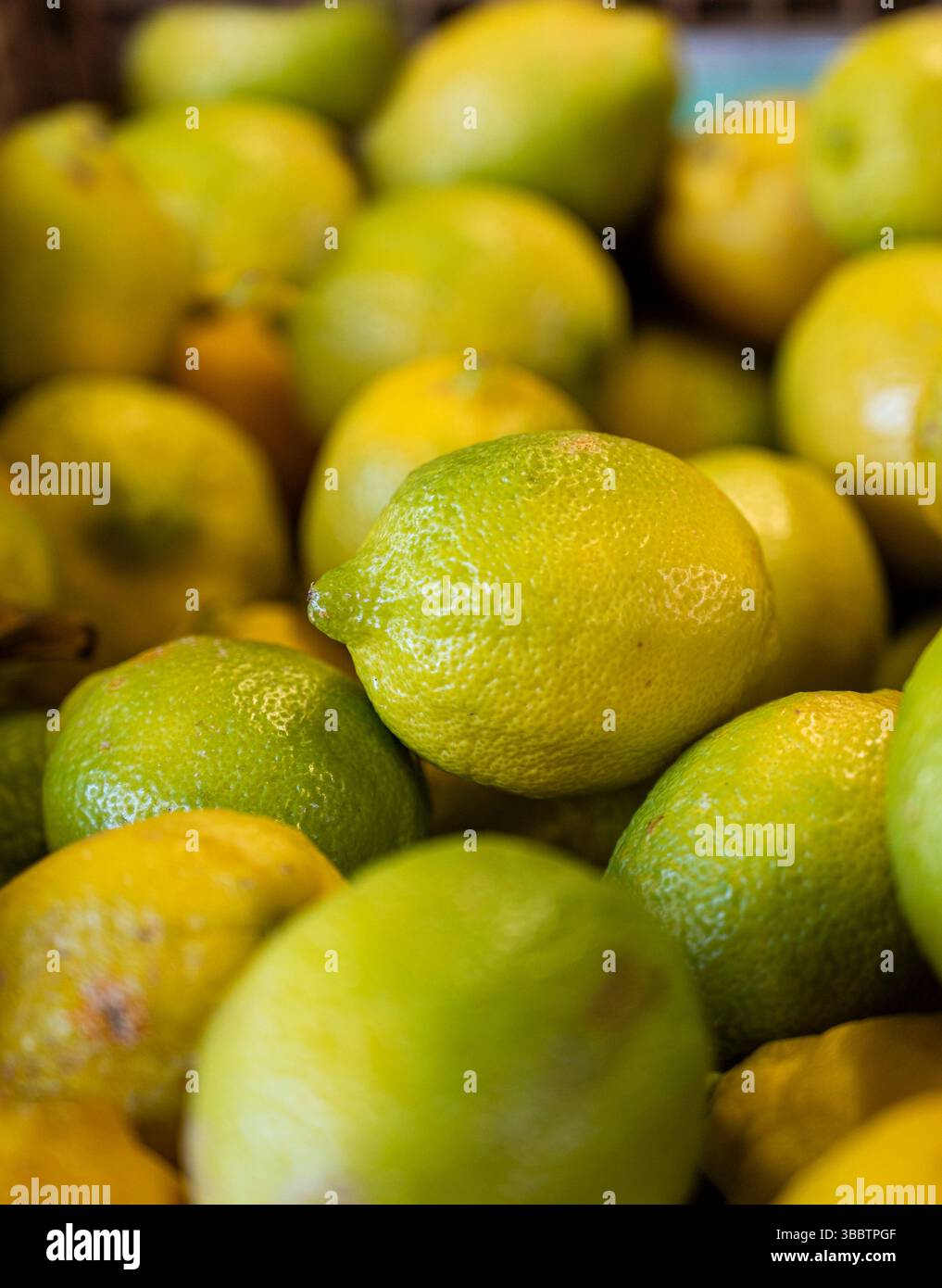 Un bouquet de citrons sont empilés dans un panier. Les citrons sont verts et semblent frais Banque D'Images